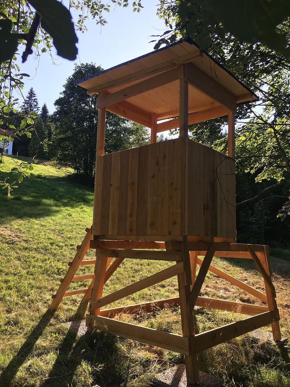 Miniaturbild: Kombikanzel (ohne Unterbau)