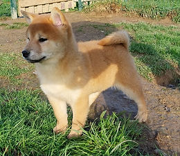 WhatsApp Image 2023-11-30 Ã 17.40.30_16e81183.jpg