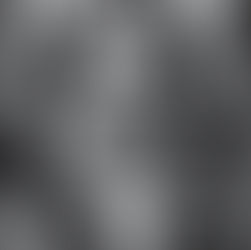 Um apelo ao bom senso