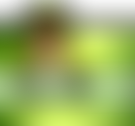 Fotos, equívocos,e empoderamento: uma imagem pode dizer tudo?