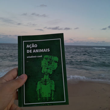"VOCÊ JÁ OLHOU PARA UMA PESSOA E SE PERGUNTOU O QUE SERÁ QUE SE PASSA NA CABEÇA DELE?" UMA RESENHA POSSÍVEL PARA 'AÇÃO DE ANIMAIS', DE WLADIMIR CAZÉ