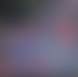 O Levante dos Livros, ou não somos “idiotas úteis”