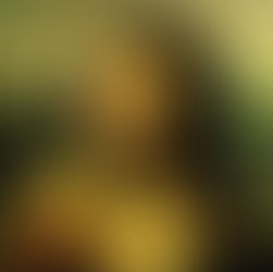 A "pobre" elite brasileira