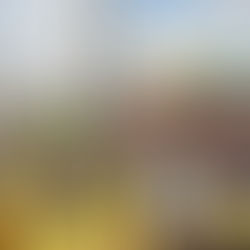 O fim da contribuição sindical joga uma pá de cal na Era Vargas. Será?