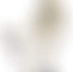 HOMO DISTRACTUS E A NOVA DIVISÃO SOCIAL