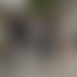 Consumo, redes sociais e ostentação