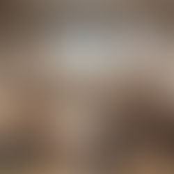 A REPÚBLICA DOS PRIVILÉGIOS