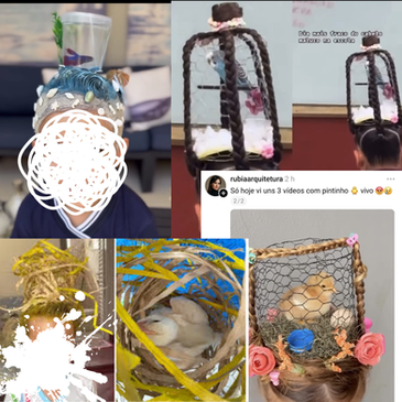 POR QUE NÃO USAR ANIMAIS VIVOS NO DIA DO CABELO MALUCO?