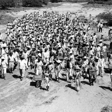 É POSSÍVEL ENVIAR MORADORES DE RUA PARA TRABALHAR NO CAMPO? ANÁLISE DE CASO