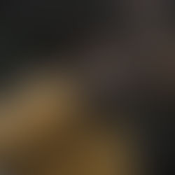 DARK: (se) o fim é o começo e o começo é o fim (?)