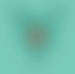 PESSOAS QUE MESTRUAM OU MULHERES QUE MESTRUAM?