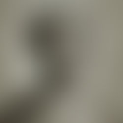 VOCÊ SABE QUEM FOI TERESA DE BENGUELA?