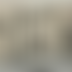 A INQUIETUDE NA OBRA DE RITA VAZ