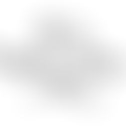 EM MOMENTOS DE CRISE, PRECISAMOS DE LÍDERES!!!