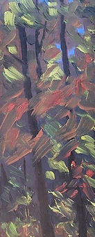 thumbnail_IMG_7529_edited.jpg