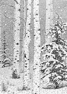 thumbnail_IMG_8124_edited.jpg