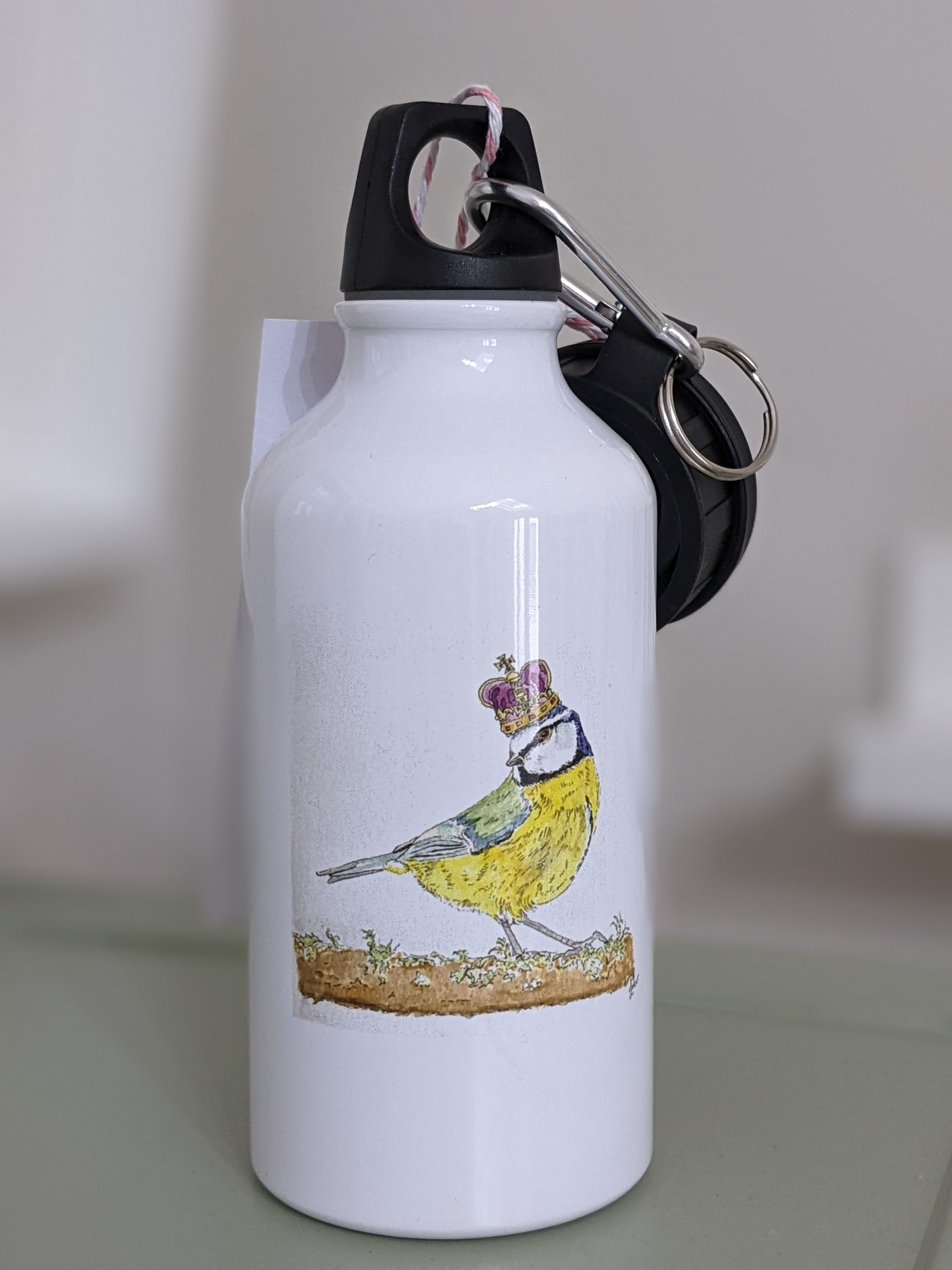 Water-bottle Bluetit