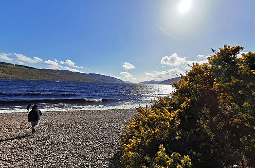 Motorhome parked on a Scottish beach road – campervan hire Scotland near Glasgow