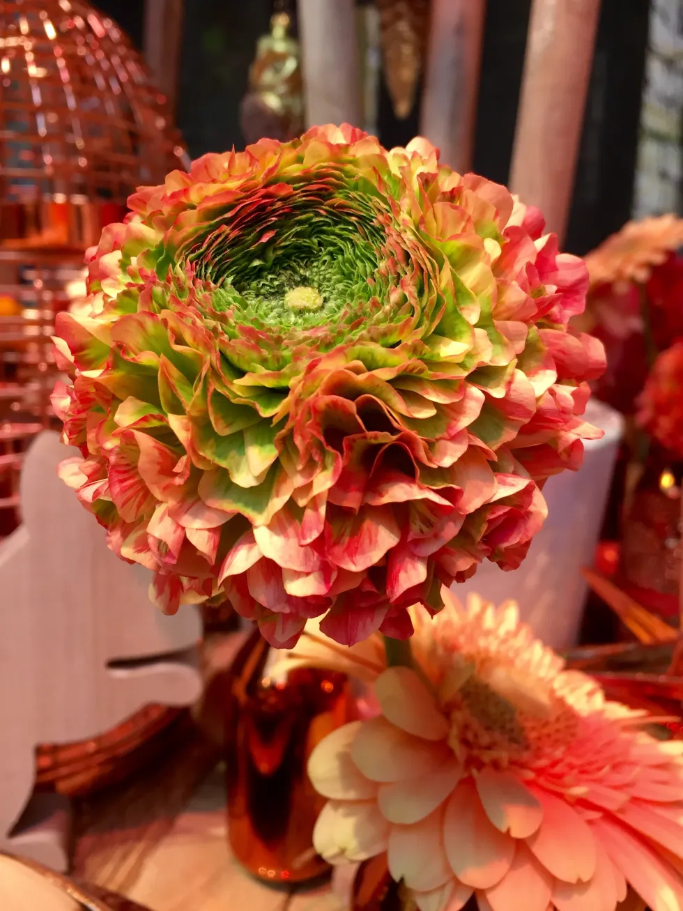 Pon-Pon Ranunculus wedding flowers orange and green