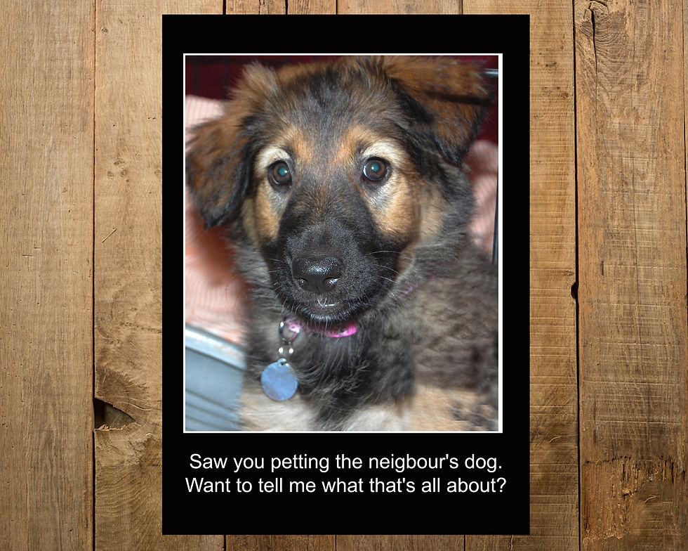 Thumbnail: What's that all about? Dog Print: Custom Pet Print from your photo