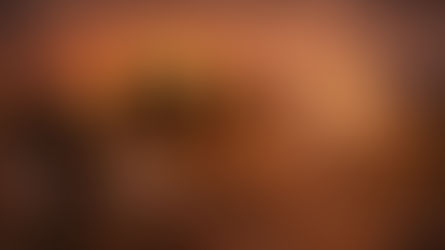 Memorial Day and Independence Day