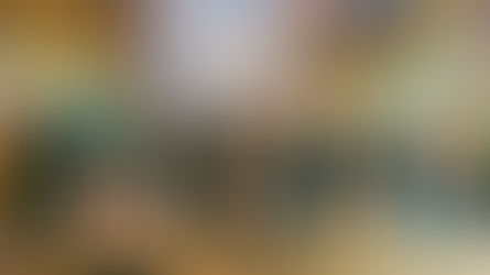 Jerusalem Congregational Update