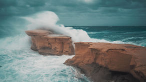 The Storm, the World & Perseverance