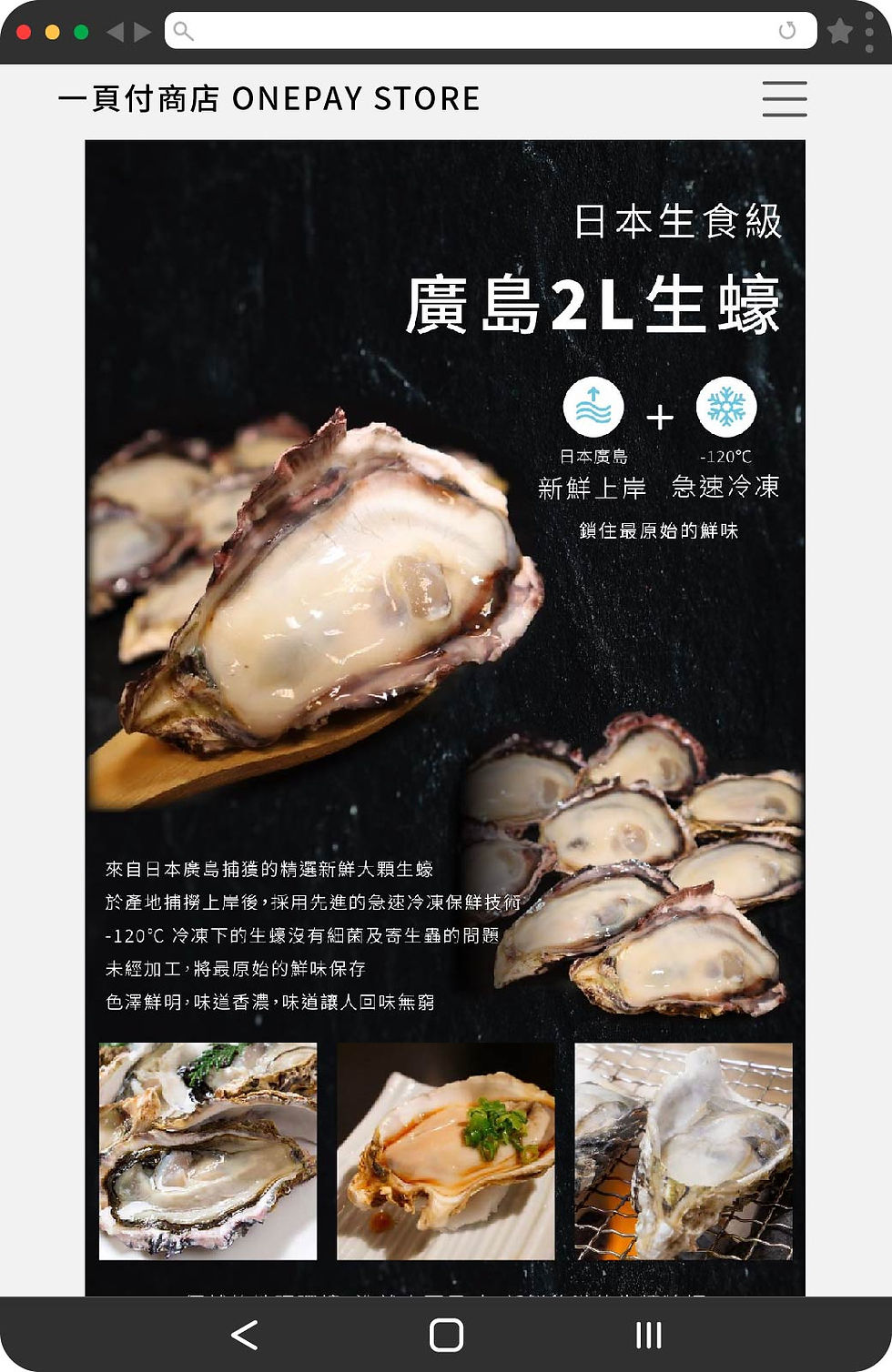 一頁付-素材-廣島2L生蠔