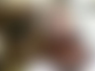 Work in progress: Pembrokeshire Promise series