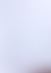 Police Documentation for Proof of Accommodation Paperwork...