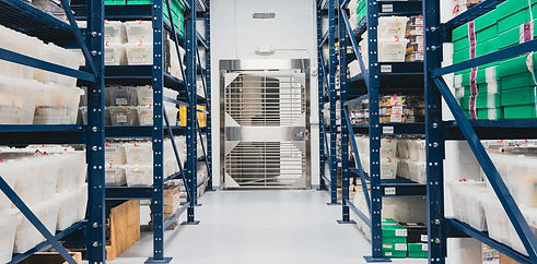 Vault #1 small.jpg