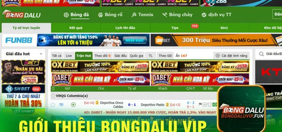 Gioi-thieu-Bongdalu-vip-min-min-764x400.jpg