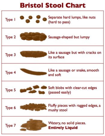 bristol_stool_chart.gif