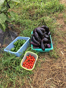 PHOTO_20190829114126.jpg