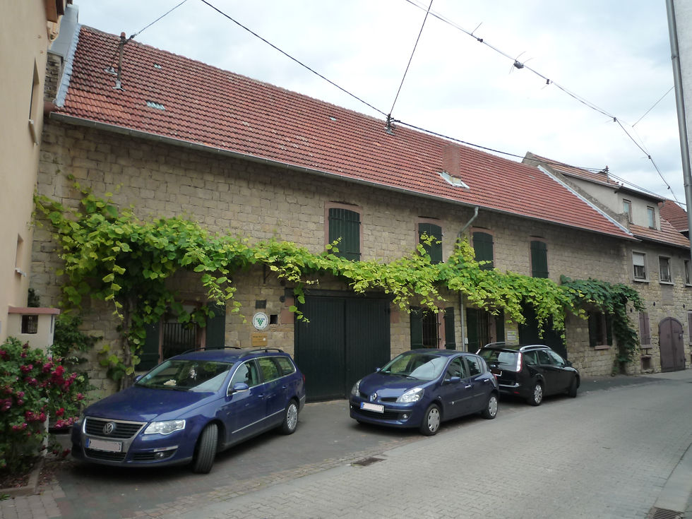 P1110318ansicht kellerweg.JPG