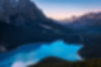 Wolf head shape of Peyto Lake Banff National Park Canada at sunset