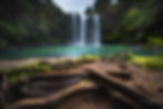 Whangarei Falls New Zealand
