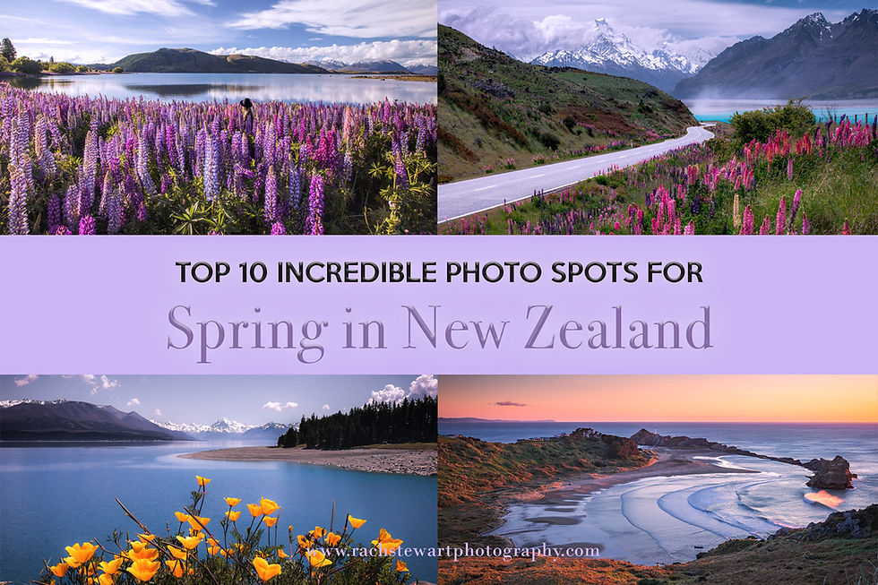Collage of New Zealand spring landscapes with lupines, lake, road, and beach. Text says Top 10 Incredible Photo Spots for Spring.
