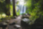 Whangarei Falls