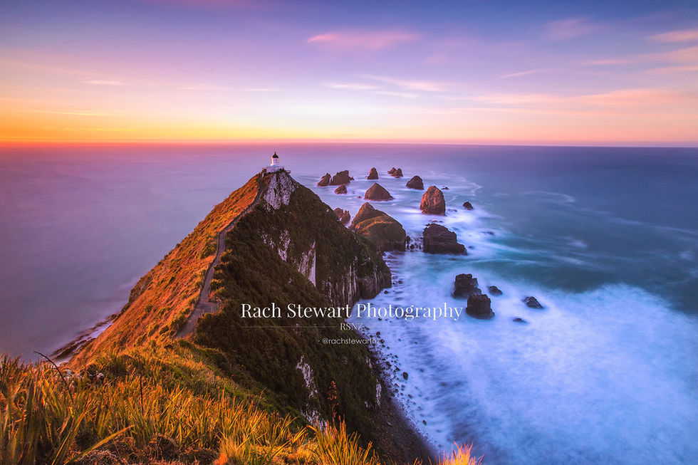 nugget point sunrise in the catlins new zealand