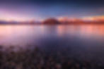Lake Heron New Zealand