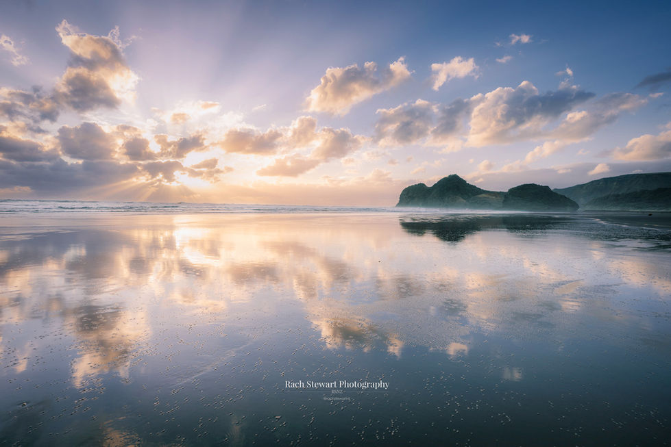 bethells beach auckland sunset nz
