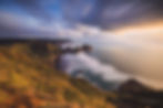 Te Henga Walk Auckland