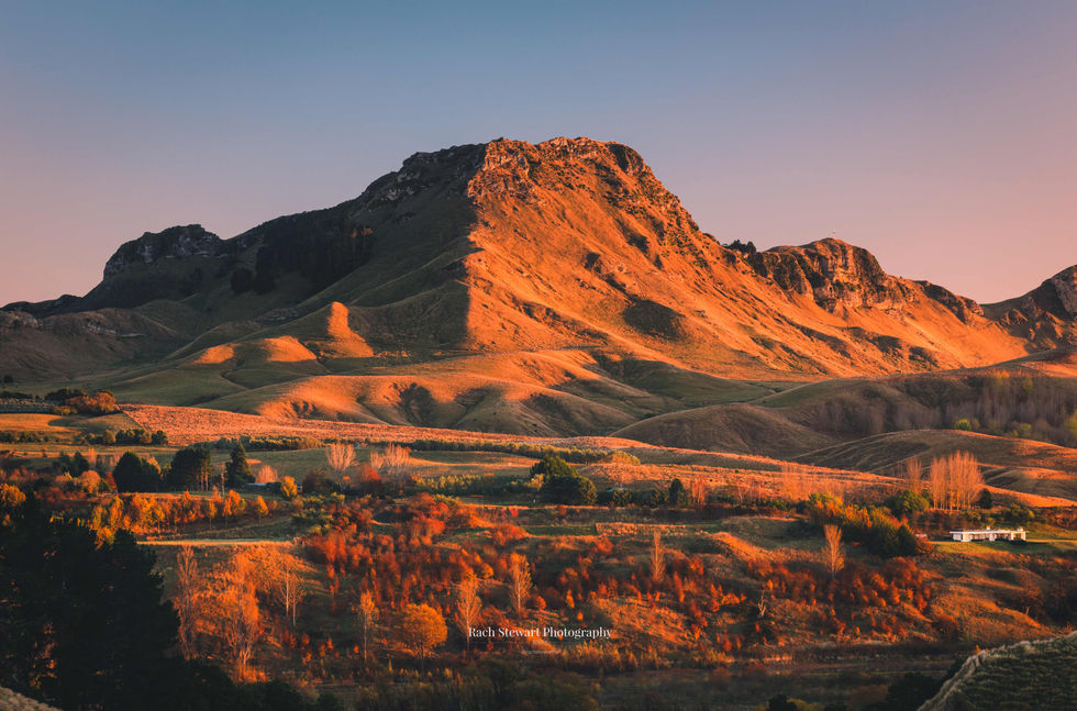 te mata peak sunrise hawkes bay