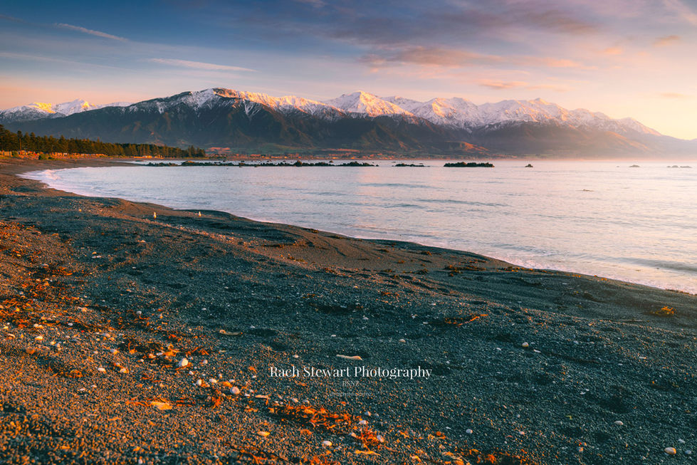 kaikoura beach esplanade sunrise new zealand
