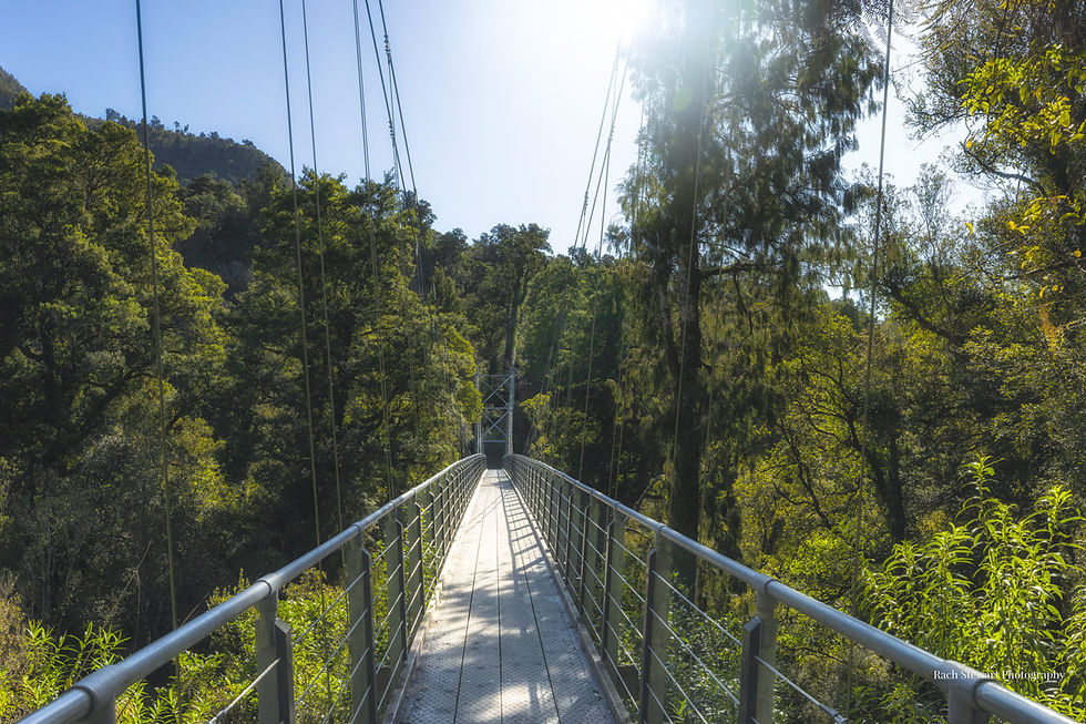 Upper Hokitika Gorge Suspension Bridge West Coast NZ