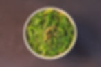 Hiyashi Salat