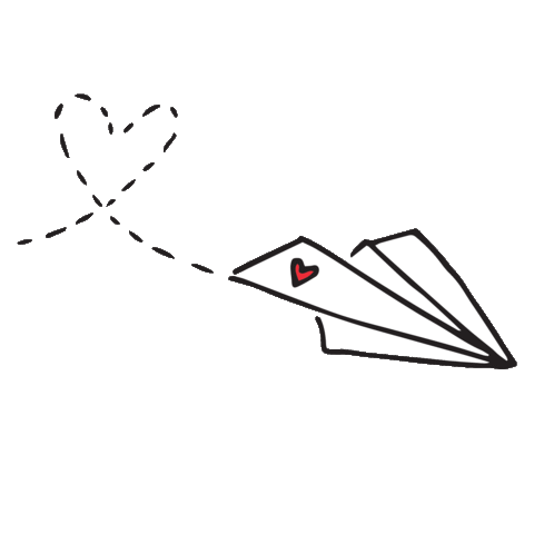 plane.gif
