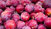ciruelas-gsc1.webp
