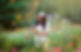 973A0978.jpg